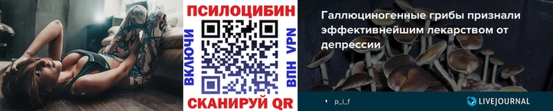 Галлюциногенные грибы Psilocybine cubensis  где купить наркоту  Ухта 